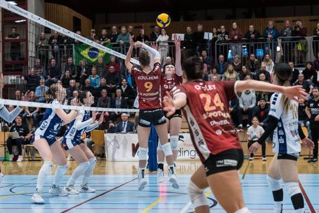 Volleyball, Women, CEV Challenge League, Volley Düdingen - SC Potsdam
