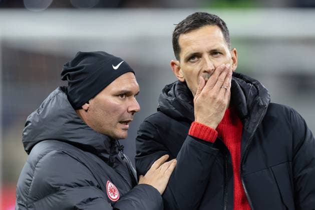 Eintracht Frankfurt SV Werder Bremen, 1 FBL Left Co Coach Nelson Morgado Eintracht Frankfurt , right Coach Dino Toppmöller Eintracht Frankfurt Bundesliga match between Eintracht Frankfurt and SV Werder Bremen on November 23, 2024 at Deutsche Bank Park in Frankfurt am Main According to the regulations of the DFL, Deutsche Fußball Liga, it is prohibited to exploit or have exploited photographs taken in the stadium and or of the match in the form of sequential images and or video-like photo series , Frankfurt am Main Hessen Germany Deutsche Bank Park