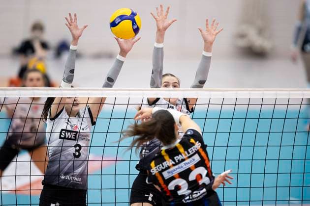 1 Volleyball Bundesliga Women Schwarz Weiss Erfurt vs Allianz MTV Stuttgart Erfurt 30 11 2024 Maria Segura Palleres 33 Allianz MTV Stuttgart vs Ana Krulj 3 Schwarz Weiss Erfurt and Elizabeth Sandbothe 2 Schwarz Weiss Erfurt 1 Volleyball Bundesliga Women Schwarz Weiss Erfurt vs Allianz MTV Stuttgart Riethsporthalle Erfurt 30 11 2024 Copyright: xBEAUTIFULxSPORTS Duehringx