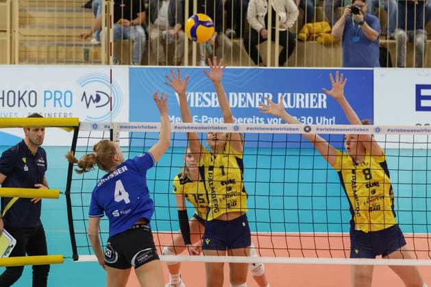 30 11 2024, xusrbx, Volleyball 1 Bundesliga Damen, VC Wiesbaden SSC Palmberg Schwerin emspor, v l Tanja Grosser VC Wiesbaden, 4 , Karla Antunovic SSC Palmberg Schwerin, 1 , Britte Stuut SSC Palmberg Schwerin, 8 , DFL DFB REGULATIONS PROHIBIT ANY USE OF PHOTOGRAPHS as IMAGE SEQUENCES and or QUASI VIDEO Wiesbaden