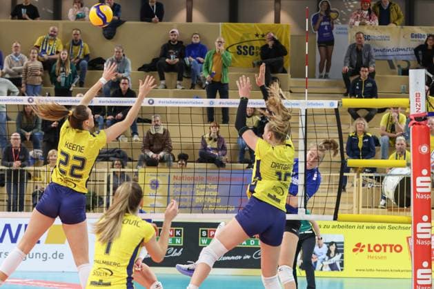 30 11 2024, xusrbx, Volleyball 1 Bundesliga Damen, VC Wiesbaden SSC Palmberg Schwerin emspor, v l Jaeliyn Keene SSC Palmberg Schwerin, 22 , Karla Antunovic SSC Palmberg Schwerin, 1 , Elles Dambrink SSC Palmberg Schwerin, 15 , Tanja Grosser VC Wiesbaden, 4 , DFL DFB REGULATIONS PROHIBIT ANY USE OF PHOTOGRAPHS as IMAGE SEQUENCES and or QUASI VIDEO Wiesbaden