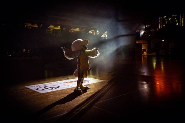 Basketball Berlin 07 12 2024 Season 2024 2025 Toyota DBBL 1 Bundesliga Women, Women Alba Berlin Saarlouis Royals Albatros Mascot