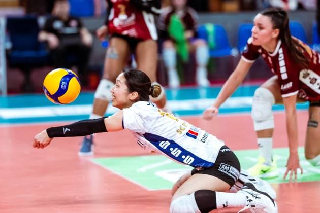 Volleyball, Women, DVV Cup, SC Potsdam - Dresdner SC