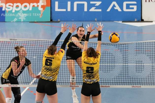 Volleyball, Women, Steelvolleys Linz - NÖ Sokol Post