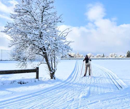 Cross-country skiers on a trail, Langläufer auf einer Loipe in Marktoberdorf, Bavaria, Germany, Jan 3, 2025.