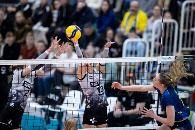 Volleyball, Women, Schwarz-Weiß Erfurt - SSC Palmberg Schwerin