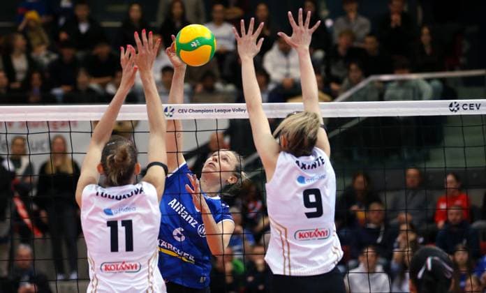 Volleyball, CEV CL, Allianz MTV Stuttgart - CSO Voluntari