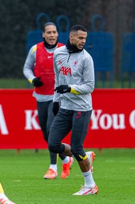 Football - UEFA Champions League - League Phase - PSV Eindhoven v Liverpool FC - MD-1 LIVERPOOL, ENGLAND - Tuesday, January 28, 2025: Liverpool s Cody Gakpo during a training session at the AXA Training Centre ahead of the UEFA Champions League match between PSV Eindhoven and Liverpool FC. (Photo by Jon Super Propaganda) LIVERPOOL AXA Training Centre MERSEYSIDE ENGLAND  Copyright: xDavidxRawcliffex P2025-01-28-PSV_Liverpool_MD-1-12