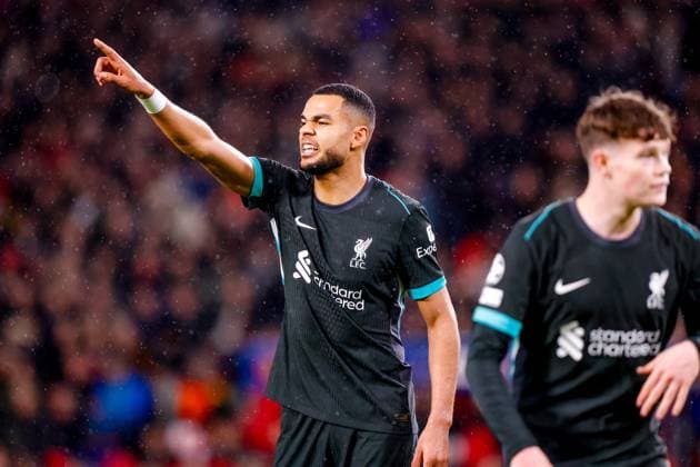 EINDHOVEN, 29-01-2025, Philips Stadium, UEFA Champions League season 2024 25, match between PSV and Liverpool FC, Liverpool FC player Cody Gakpo PSV - Liverpool  x27612875x Copyright:
