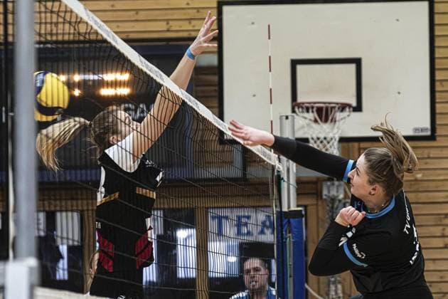 Volleyball Regionalliga in Gladbeck FOR EDITORIAL PURPOSES ONLY EDITORIAL USE ONLY p Nr 14 Maren Vierhaus smashing Volleyball Regionalliga TV Gladbeck MTV Köln on Saturday, February 01, 2025 in Gladbeck ¨ Germany NRW Gladbeck Copyright ChristophxWojtyczka Copyright: ChristophxWojtyczka doc7z6m2jpb7avkvccvi47 ,EDITORIAL USE ONLY Copyright: ChristophxWojtyczka