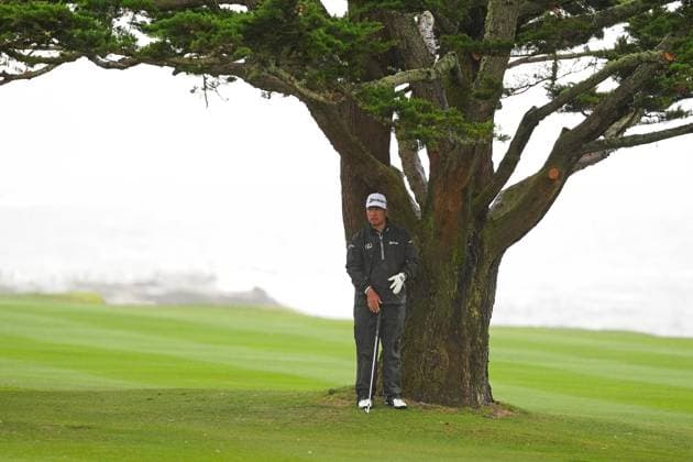 PEBBLE BEACH, CA - FEBRUARY 01: PGA, Golf Herren golfer Hideki Matsuyama takes shelter from the wind and the rain under a cypress tree on the 18th hole during the third round of the AT&T Pebble Beach Pro AM on February 1, 2025, at Pebble Beach Golf Links in Pebble Beach, California. (Photo by Brian Spurlock Icon Sportswire) GOLF: FEB 01 PGA AT&T Pebble Beach Pro-Am EDITORIAL USE ONLY Icon25020142