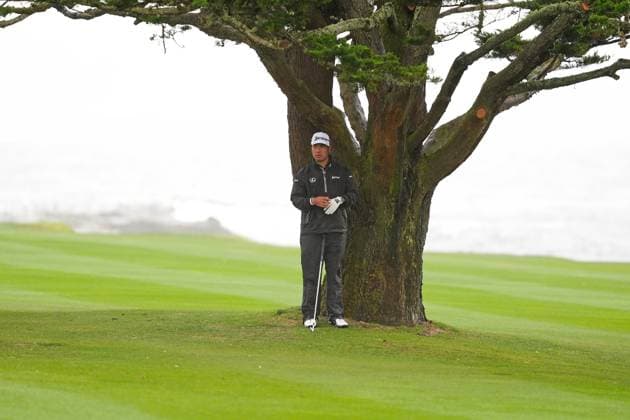 PEBBLE BEACH, CA - FEBRUARY 01: PGA, Golf Herren golfer Hideki Matsuyama takes shelter from the wind and the rain under a cypress tree on the 18th hole during the third round of the AT&T Pebble Beach Pro AM on February 1, 2025, at Pebble Beach Golf Links in Pebble Beach, California. (Photo by Brian Spurlock Icon Sportswire) GOLF: FEB 01 PGA AT&T Pebble Beach Pro-Am EDITORIAL USE ONLY Icon25020143