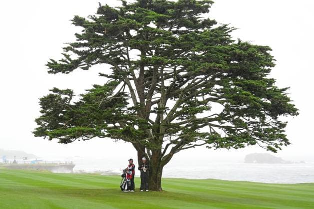 PEBBLE BEACH, CA - FEBRUARY 01: PGA, Golf Herren golfer Hideki Matsuyama takes shelter from the wind and the rain under a cypress tree on the 18th hole during the third round of the AT&T Pebble Beach Pro AM on February 1, 2025, at Pebble Beach Golf Links in Pebble Beach, California. (Photo by Brian Spurlock Icon Sportswire) GOLF: FEB 01 PGA AT&T Pebble Beach Pro-Am EDITORIAL USE ONLY Icon25020144