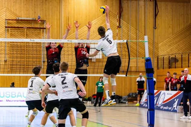 09 02 2025, GER, Volleyball, 2 BL Maenner Sued, Saison 2024 2025, Blue Volleys Gotha Barock Volleys MTV Ludwigsburg Erik Niederluecke Blue Volleys Gotha Darius Diefenbach Barock Volleys MTV Ludwigsburg Tim Koepfli Barock Volleys MTV Ludwigsburg 99867 Gotha Sporthalle Sportanlage Ernesti Thüringen Germany