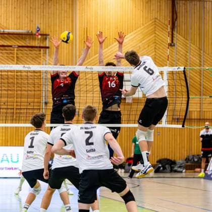 09 02 2025, GER, Volleyball, 2 BL Maenner Sued, Saison 2024 2025, Blue Volleys Gotha Barock Volleys MTV Ludwigsburg Erik Niederluecke Blue Volleys Gotha Darius Diefenbach Barock Volleys MTV Ludwigsburg Tim Koepfli Barock Volleys MTV Ludwigsburg 99867 Gotha Sporthalle Sportanlage Ernesti Thüringen Germany