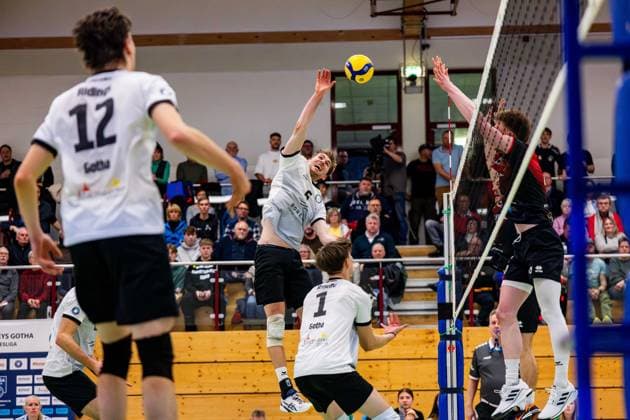 09 02 2025, GER, Volleyball, 2 BL Maenner Sued, Season 2024 2025, Blue Volleys Gotha Barock Volleys MTV Ludwigsburg Erik Niederluecke Blue Volleys Gotha 99867 Gotha Sporthalle Sportanlage Ernesti Thüringen Germany
