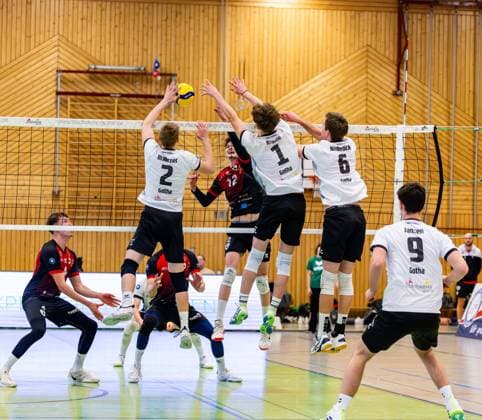 09 02 2025, GER, Volleyball, 2 BL Maenner Sued, Saison 2024 2025, Blue Volleys Gotha Barock Volleys MTV Ludwigsburg Mykyta Shapovalov Barock Volleys MTV Ludwigsburg Richard Werner Blue Volleys Gotha Justus Krausse Blue Volleys Gotha Erik Niederluecke Blue Volleys Gotha 99867 Gotha Sporthalle Sportanlage Ernesti Thüringen Germany