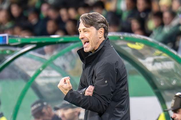 11 02 2025, Football UEFA Champions League, Season 2024 2025, Play Offs, First leg, Sporting CP Lisbon Borussia Dortmuna at Estadio Jose Alvalade in Lisbon Dortmunds coach Niko Kovac reacts Photo Kirchner Media Thomas Haesler IMPORTANT NOTICE According to UEFA regulations, it is prohibited to use or have used photographs taken in the stadium and or of the match in the form of sequential images and or video-like photo series Copyright: xKirchner-Media ThomasxHaeslerx