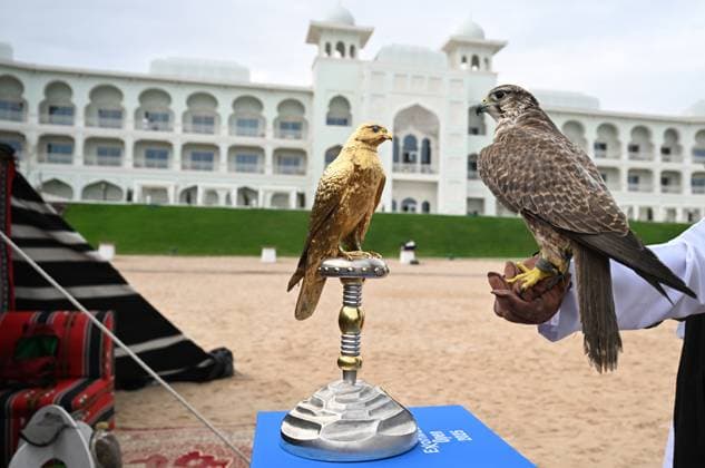 Qatar ExxonMobil Open 2025 Photostunt at Katara Beach , Doha Qatar Grigor Dimitrov BUL , Novak Djokovic SRB , Carlos Alcaraz ESP and Stefanos Tsitsipas GRE