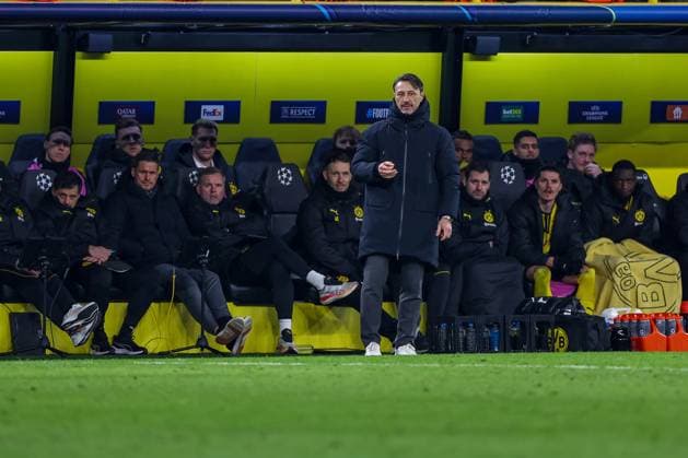 19 02 2025, Football, UEFA Champions League, Borussia Dortmund Sporting Lisbon, Signal Iduna Park, Knockout phase play offs, Season 2024 2025 Coach Niko Kovac Head Coach BVB in front of the bench North Rhine-Westphalia Germany
