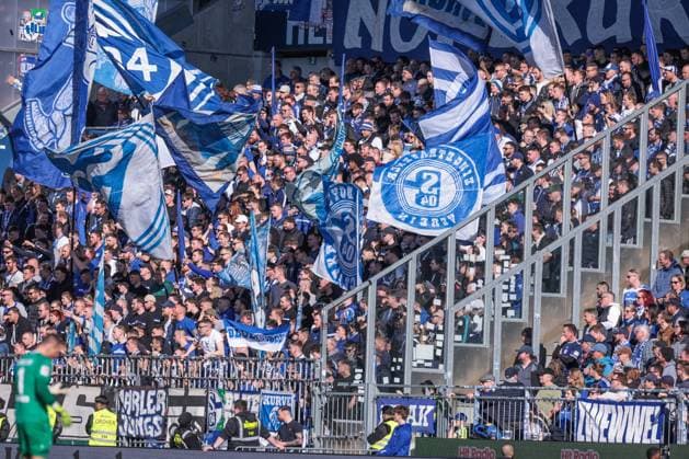 23 02 2025, Football, Season 2024 2025, 2 Bundesliga, Matchday 23, SV Darmstadt 98 FC Schalke 04, Fans of FC Schalke 04 Darmstadt Böllenfalltor Hessen Germany xRHR PHOTO YYx Copyright: RHR-FOTOx RHR-FOTO YY