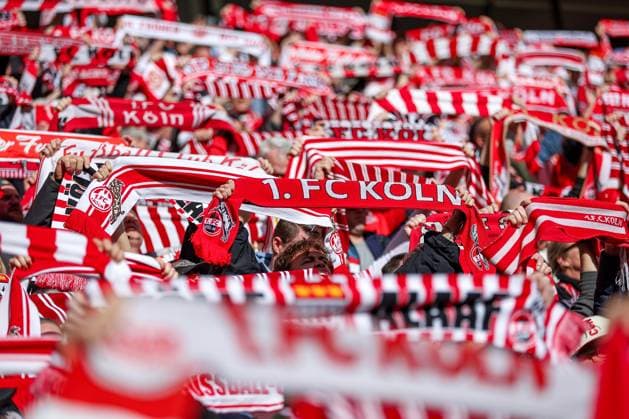 23 02 2025, Fußball, 1 FC Köln Fortuna Düsseldorf, 2 Fußball Bundesliga, 23 Spieltag, RheinEnergie STADION, Saison 2024 2025 Feature Schalparade FC Köln Fanschal Fanschals Schal Sybolbild Fans Zuschauer Besucher Fan Detail Detailaufnahme Nahaufnahme DFB regulations prohibit any use of photographs as image sequences and or quasi video Nordrhein Westfalen Germany