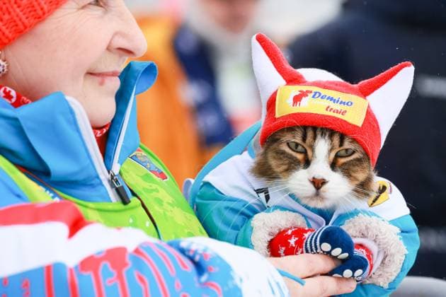 Sport Themen der Woche KW09 RUSSIA, YAROSLAVL REGION - MARCH 1, 2025: A woman with a cat is seen before the start of the 18th Demino Ski Marathon. Vladimir Smirnov TASS  78739096