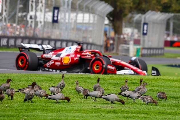 16 Charles Leclerc MCO, Scuderia Ferrari HP , F1 Grand Prix of Australia at Albert Park Grand Prix Circuit on March 15, 2025 in Melbourne, Australia Photo by HOCH ZWEI Melbourne Australia