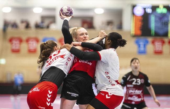 HANDBALL WOMEN 1 BUNDESLIGA 19 GAME DAY THC HB LUDWIGSBURG FOR EDITORIAL PURPOSES ONLY p 15 03 2025 Bad Langensalza Handball Women 1 Bundesliga Women Season 2024 2025 Salzhalle 19 Matchday Thüringer HC HB Ludwigsburg in photo Johanna Reichert 29 Thüringer HC in duel with Kaba Gassama Cissokho 4 HB Ludwigsburg and Guro Nestaker 33 HB Ludwigsburg Germany Thueringen Bad Langensalza Copyright SaschaxFromm Copyright: SaschaxFromm doc7zs3e3my8qt1bs0il5dg ,EDITORIAL USE ONLY Copyright: SaschaxFromm