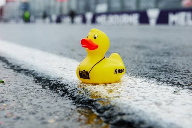 15 05 2025, xrarjax, Motorsport FIA Formula 1, Australian Grand Prix 2025 v l Symbol photo Rain Race Rain Nikon Duck Bathing Duck Squeaky Duck FIA REGULATIONS PROHIBIT ANY USE OF PHOTOGRAPHS as IMAGE SEQUENCES and or QUASI VIDEO Melbourne