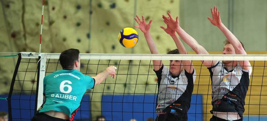Volleyball, 2nd BL, Barock Volleys Ludwigsburg - TSV Mimmenhausen