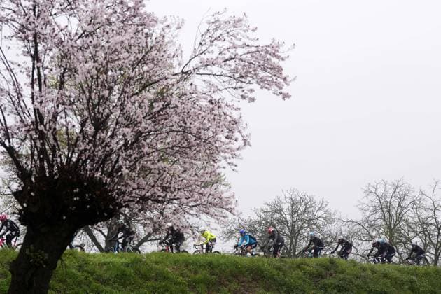 The pack rides cycles during the men s elite race of the Milano-Sanremo one day cycling race (289 km) from Pavia and to Sanremo - North West Italy - March 22, 2025. - cycling .  Copyright: xFabioxFerrari LaPressex