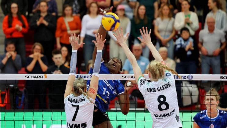Volleyball, Women, VBL, MTV Stuttgart - USC Münster