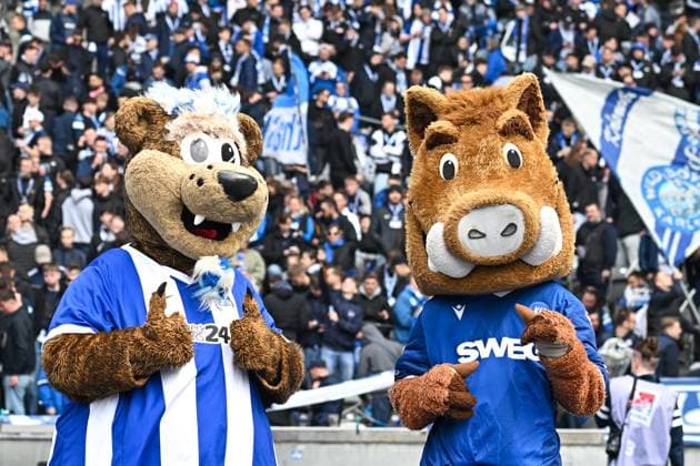 Soccer 2 Bundesliga, Hertha BSC Berlin Karlsruher SC 29 03 2025, xdanx, Soccer 2 Bundesliga, Hertha BSC Berlin Karlsruher SC v l Mascot Herthinho Hertha BSC united on friendship with Mascot Willi Wildpark Karlsruher SC DFL DFB REGULATIONS PROHIBIT ANY USE OF PHOTOGRAPHS as IMAGE SEQUENCES and or QUASI VIDEO Daniel Lakomski Mix1Press Berlin Olympiastadion Berlin Germany DEU Copyright: xDanielxLakomskix