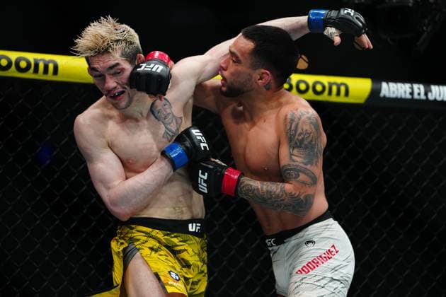 Martial arts, MMA, UFC Fight Night in Mexico