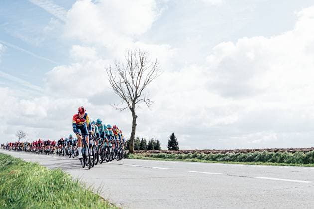 2025 Gent Wevelgem Picture by Zac Williams SWpix.com - 30 03 2025 - Cycling - 2025 Gent Wevelgem, Belgium - Trek lead the peloton. Copyright: x xSWpix.comx(t axPhotographyxHubxLtd)xZacxWilliams SWpix.comx SWP-2645