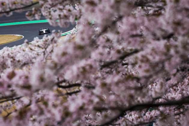 F1 - JAPANESE GRAND PRIX 2025 01 VERSTAPPEN Max (nld), Red Bull Racing RB21, action during the Formula 1 Lenovo Japanese Grand Prix 2025, 3rd round of the 2025 FIA Formula One World Championship, WM, Weltmeisterschaft from April 4 to 6, 2025 on the Suzuka Circuit, in Suzuka, Japan - SuzukaJapan  Copyright: xFLORENTxGOODENx