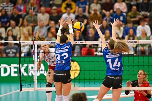 DVL Allianz MTV Stuttgart Dresdner SC 04 06 2025 DVL, Volleyball, 1 Bundesliga, Women, Season 2024 25, Playoff, Semifinal, Allianz MTV Stuttgart in blue , against Dresdner SC in white , Marta Levinska, against 33 Maria Segura Palleres and 14 Kelsey Veltman, Copyright: xBEAUTIFULxSPORTS TomxBlochx