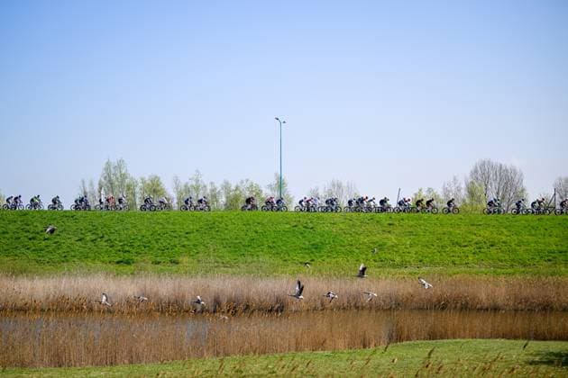The pack of riders pictured in action during the men s race of the 113th edition of the Scheldeprijs one day cycling event, 202,8 km from Terneuzen, the Netherlands to Schoten, Belgium on Wednesday 09 April 2025. TOM GOYVAERTS TomxGoyvaerts  x120374206x