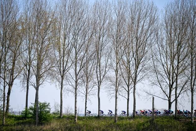The pack of riders pictured in action during the men s race of the 113th edition of the Scheldeprijs one day cycling event, 202,8 km from Terneuzen, the Netherlands to Schoten, Belgium on Wednesday 09 April 2025. TOM GOYVAERTS TomxGoyvaerts  x120376601x