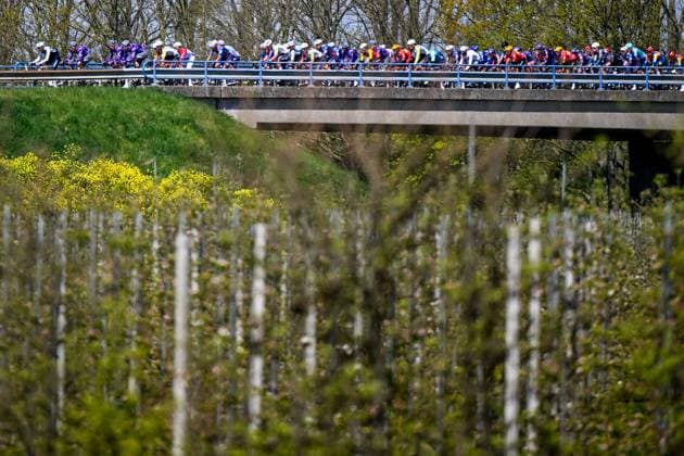 The pack of riders pictured in action during the men s race of the 113th edition of the Scheldeprijs one day cycling event, 202,8 km from Terneuzen, the Netherlands to Schoten, Belgium on Wednesday 09 April 2025. TOM GOYVAERTS TomxGoyvaerts  x120379034x