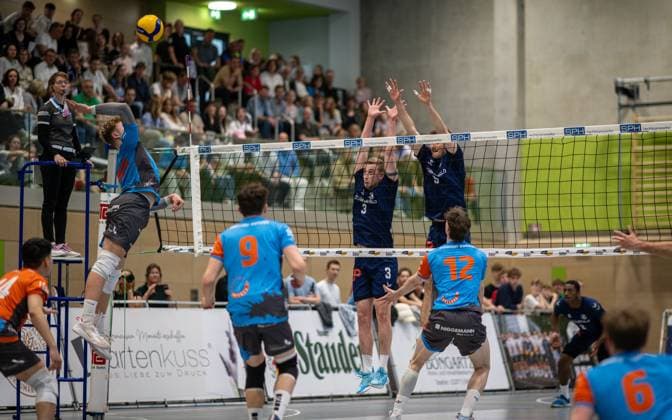 Volleyball, Season 2024 2025, 2 Bundesliga Nord, 12 04 2025, Matchday 23, Men, TuB Bocholt darkblue vs Muenster Volleys lightblue v l Kaijie Zhang Libero Muenster Volleys , Lea Becker 1 Referee , Dominik Rutke Muenster Volleys , Niklas Kotte Muenster Volleys , Noah van Dam TuB Bocholt , Tobias John TuB Bocholt , Tim Wahl Muenster Volleys, 12 , Bocholt Sporthalle West Nordrhein Westfalen Germany 250412_vb_tub-bocholt_muenster-volleys_39908