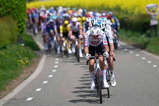 Amstel Gold Race 2025 cycling race VALKENBURG, THE NETHERLANDS - APRIL 20 : Novak Domen (SLO) of UAE Team Emirates leading the peloton during the Men Elite UCI World Tour 59th Amstel Gold Race cycling race with start in Maastricht and finish in Valkenburg (255,9 km) on April 20, 2025 in Valkenburg, The Netherlands, 20 04 2025 ( Motordriver Kenny Verfaillie & Valkenburg The Netherlands  Copyright: xNicoxVereeckenx