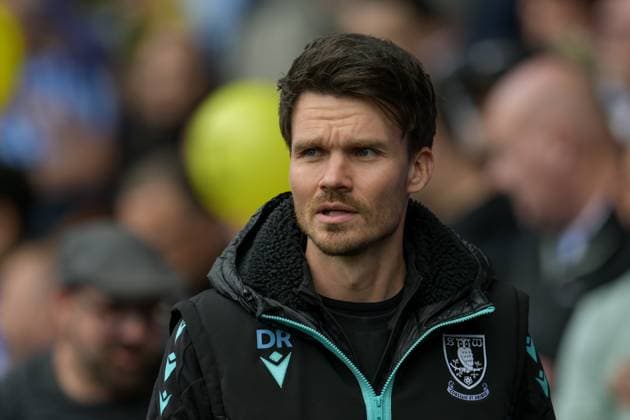 Football, Sheffield Wednesday, Coach Danny Röhl terminates contract two weeks before the start of the season