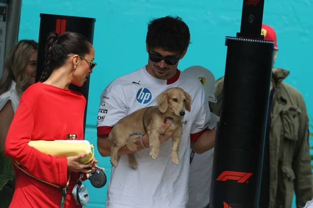 F1 Grand Prix Of Miami - Race Day Arrivals Charles Leclerc arrives with his dog Leo at the Miami International Autodrome in Miami, Florida, for the Formula 1 Crypto.com Miami Grand Prix. Miami, Florida Florida United States  Copyright: xReginaldxMathalonex originalFilename:mathalone-notitle250504_npB7o.jpg
