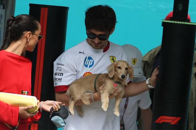 F1 Grand Prix Of Miami - Race Day Arrivals Charles Leclerc arrives with his dog Leo at the Miami International Autodrome in Miami, Florida, for the Formula 1 Crypto.com Miami Grand Prix. Miami, Florida Florida United States  Copyright: xReginaldxMathalonex originalFilename:mathalone-notitle250504_npfNX.jpg