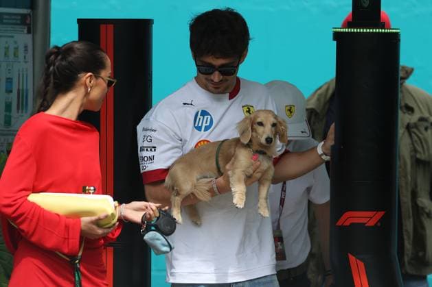 F1 Grand Prix Of Miami - Race Day Arrivals Charles Leclerc arrives with his dog Leo at the Miami International Autodrome in Miami, Florida, for the Formula 1 Crypto.com Miami Grand Prix. Miami, Florida Florida United States  Copyright: xReginaldxMathalonex originalFilename:mathalone-notitle250504_npscS.jpg