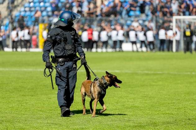 Police officer with police dog on the pitch after the match , Soccer, 3 Liga, Matchday 37, 2024 2025, SV Waldhof Mannheim vs Dynamo Dresden, 10 05 2025, Carl Benz Stadion, Mannheim, Germany DFB REGULATIONS PROHIBIT ANY USE OF PHOTOGRAPHS AS IMAGE SEQUENCES AND OR QUASI VIDEO Mannheim Carl Benz Stadion Baden Württemberg Germany Copyright: xGrantxHubbsx