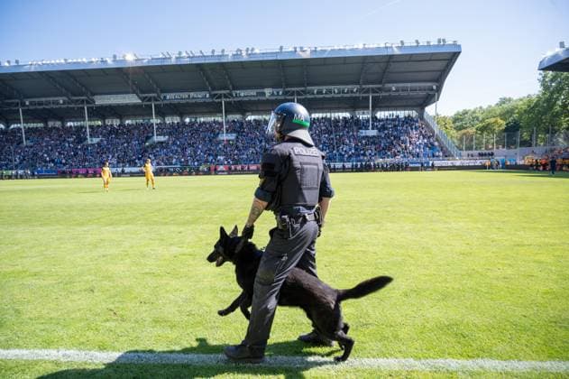 10 05 2025, xhfmx, Fußball 3 Liga, SV Waldhof Mannheim Dynamo Dresden A policeman with a dog comes onto the pitch DFL DFB REGULATIONS PROHIBIT ANY USE OF PHOTOGRAPHS as IMAGE SEQUENCES and or QUASI VIDEO Mannheim