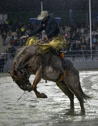 (250517) -- SURREY, May 17, 2025 -- A rider competes in the saddle bronc riding competition at the Cloverdale Rodeo and Country Fair in Surrey, British Columbia, Canada, May 16, 2025. As one of the largest rodeos in Canada, the annual Cloverdale Rodeo and Country Fair kicked off here on Friday. (Photo by Xinhua) (SP)CANADA-SURREY-CLOVERDALE RODEO LiangxSen 